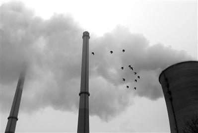 全力做好企业各项污染防治工作