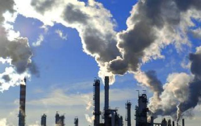 确保各项防治措施落到实处、见到实效