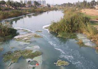 承载着深厚的漕运记忆与江南文化基因