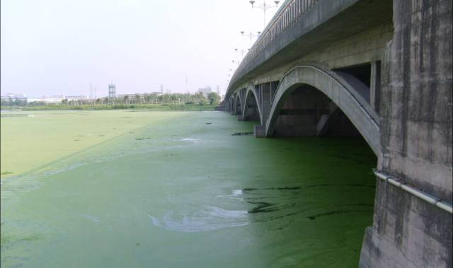 有效改善城市生态环境