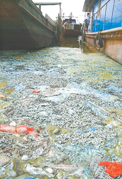 对水污染防治标准和规划执行不到位、水污染防治监督制度不落实、饮用水安全保障制度有待加强、城镇生活污水处理存在短板、农业农村水污染防治滞后、工业污染未得到根本解决、船舶水污染工作亟待加强、地方政府执法不力、法律责任不明确