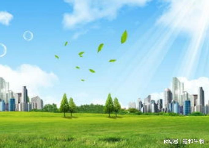 深入贯彻落实全市大气污染防治2月份攻坚动员会议精神