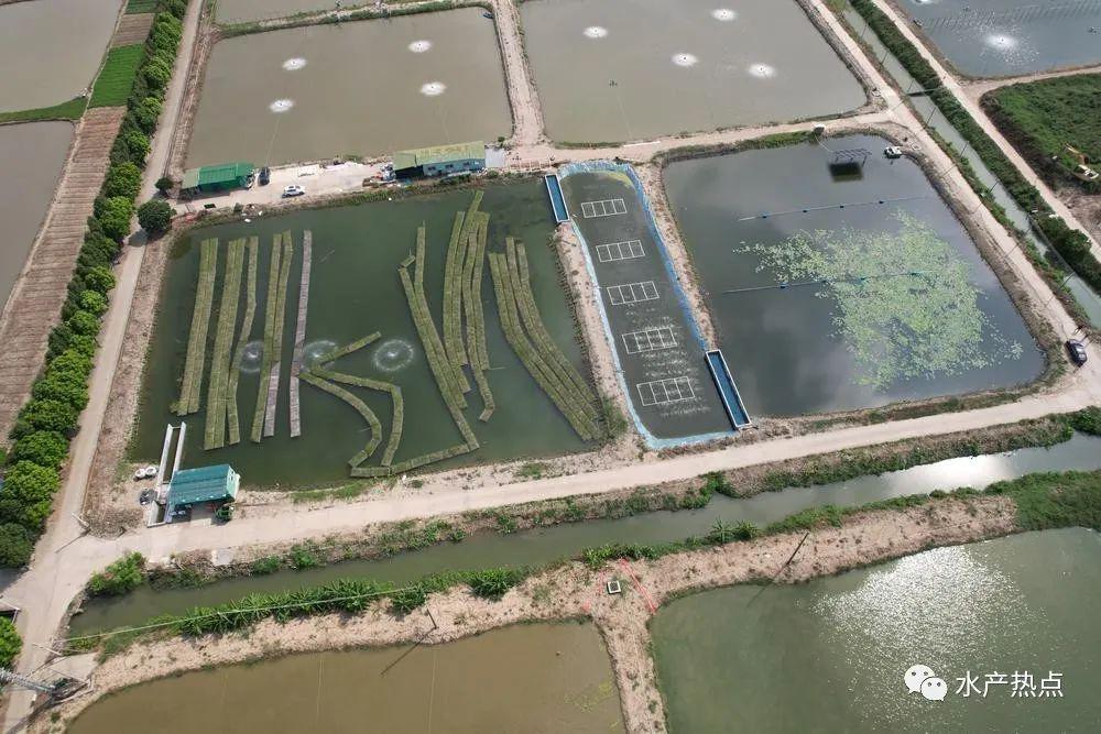 解决了氯碱废硫酸的处置和硫酸铝制备工艺存在大量含酸尾气外排、环境污染严重、物耗能耗高、反应不完全、原料转化率低以及生产过程中沉降量较大等问题