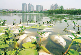 聚焦雨污水管网运维管护、污水预处理设施运行效能