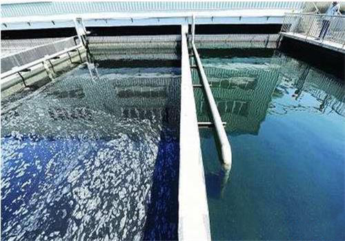 新华社发（许淑敏 摄）2月6日