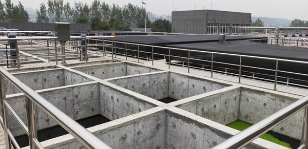 上游新闻“帮帮”志愿服务队联合重庆市生态环境保护志愿服务总队